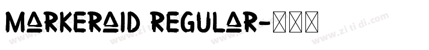 MarkerAid Regular字体转换